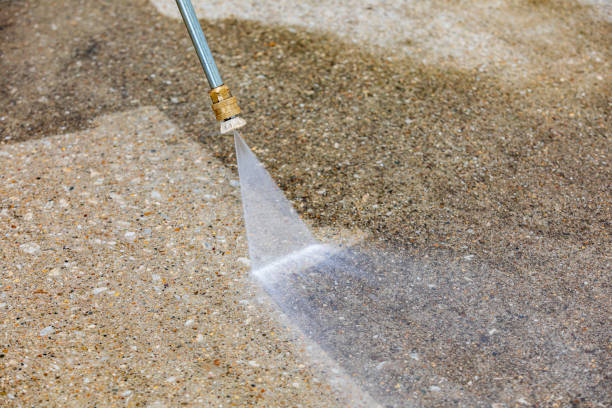 Best Gutter Cleaning  in Siloam Springs, AR